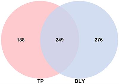 Comparative Study on Jejunal Immunity and Microbial Composition of Growing-Period Tibetan Pigs and Duroc × (Landrace × Yorkshire) Pigs